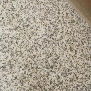 新乡 黄金麻中黄光面