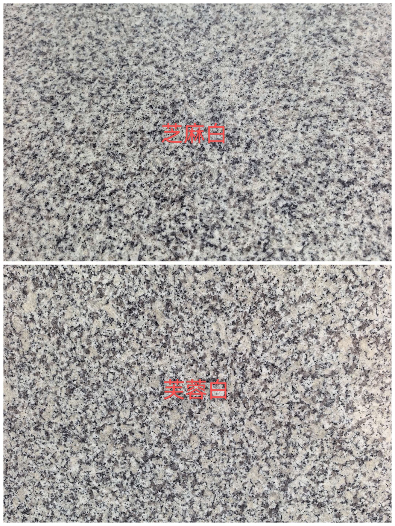 新乡 芝麻白和芙蓉白的区别