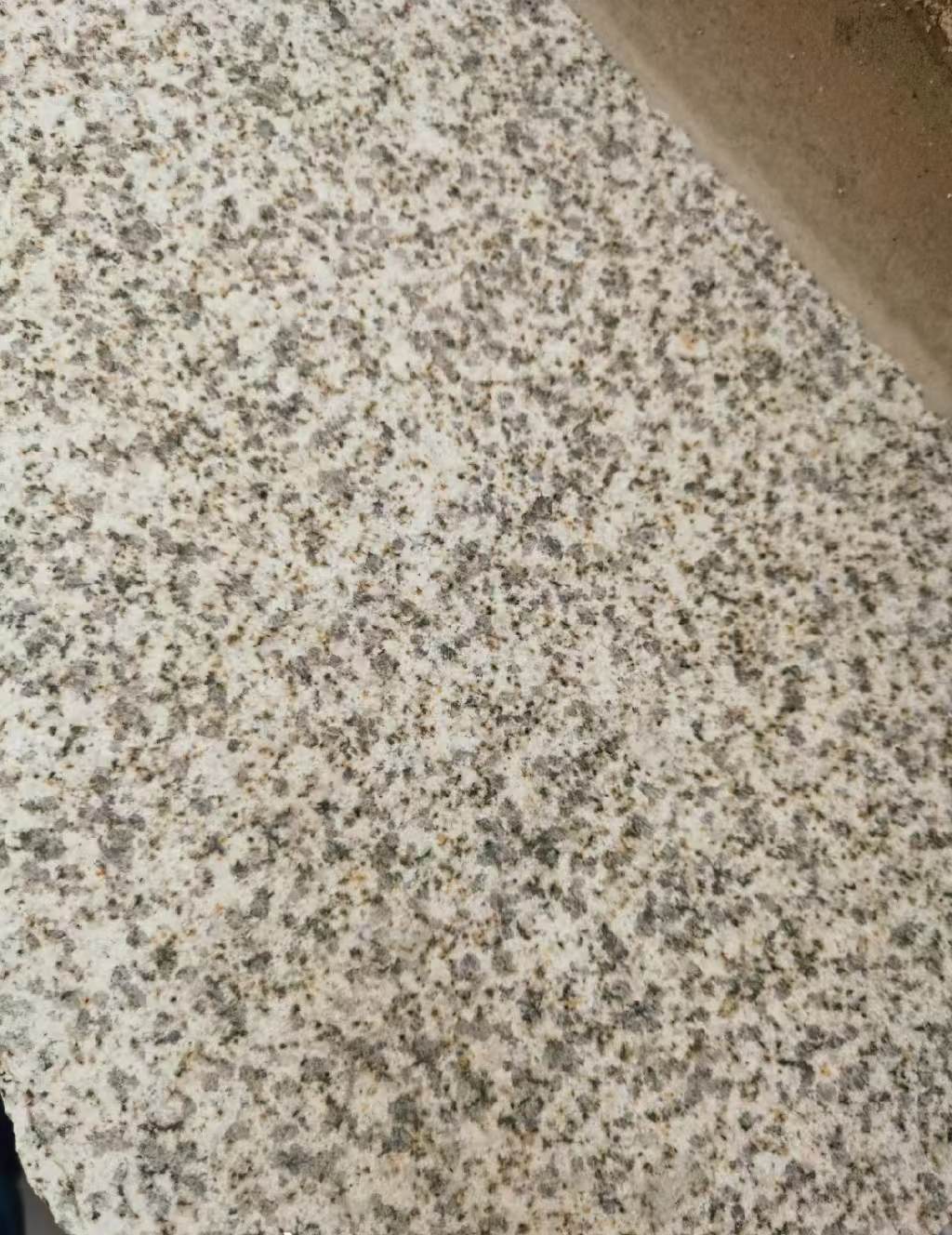 新乡 黄金麻中黄光面