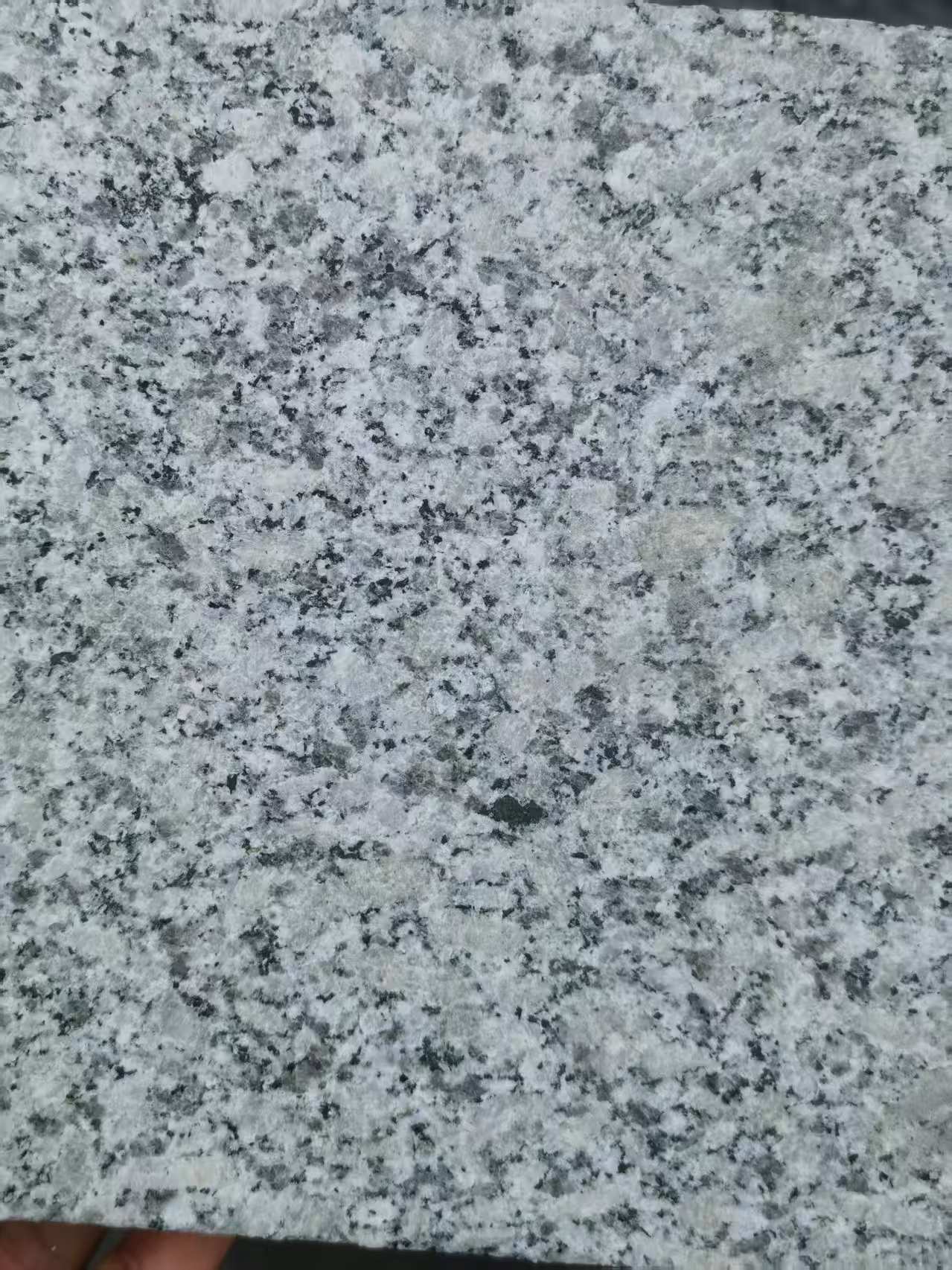 新乡 芙蓉白火烧面