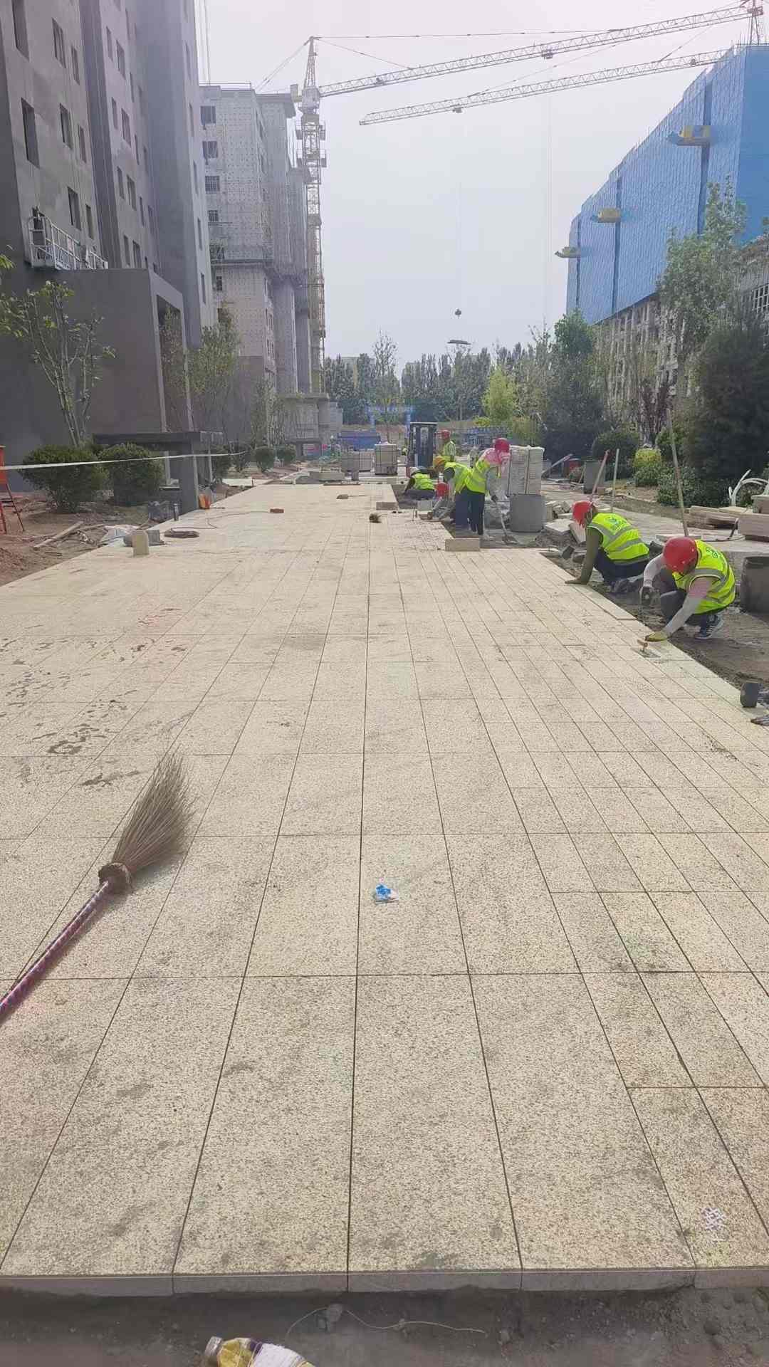 新乡黄金麻荔枝面地铺案例